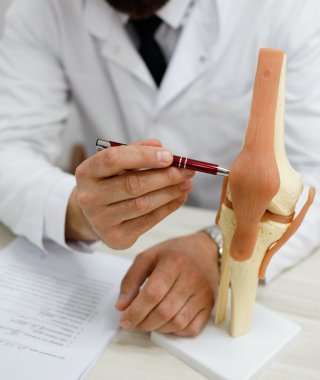 Ortopeda wyjaśniający budowę kolana
